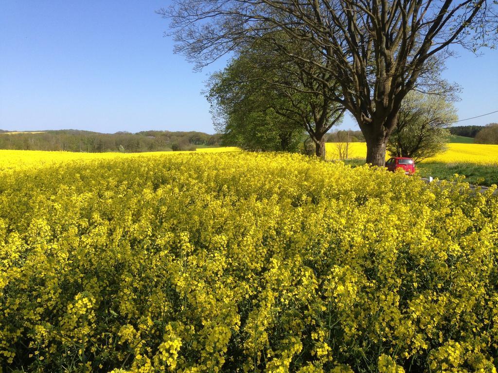 Pension Am Kluenderberg บินซ์ ภายนอก รูปภาพ